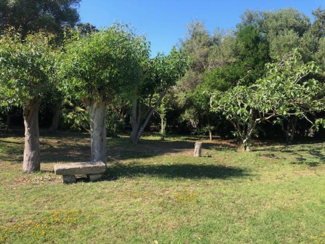 Civico34 House 3 - I Giardini Dell'Ancora Villa Stintino Eksteriør bilde